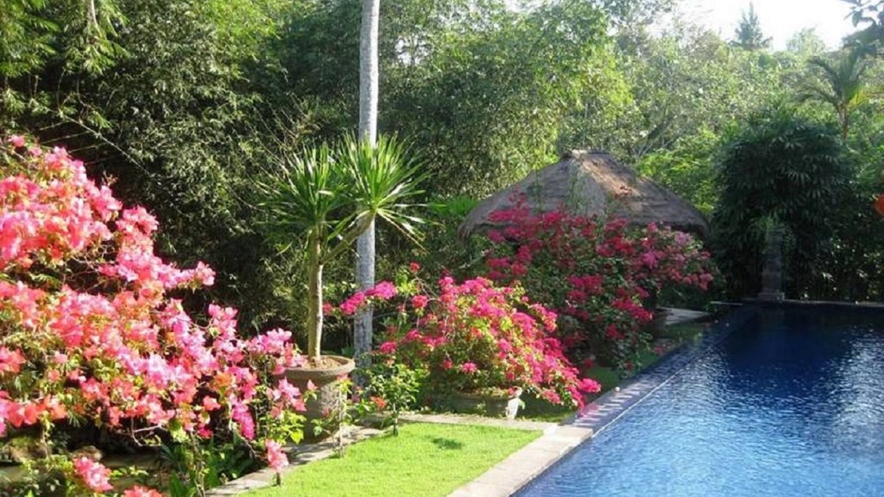 Photo of Outdoor in Kaba-Kaba