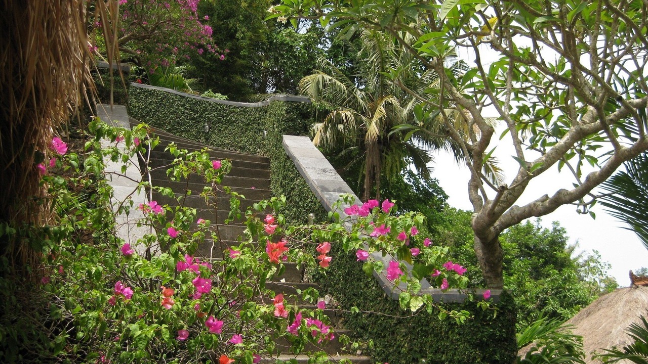 Photo of Outdoor in Kaba-Kaba