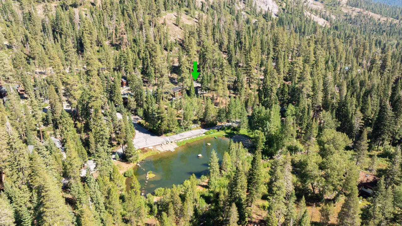 Photo of Outdoor in Alpine Meadows