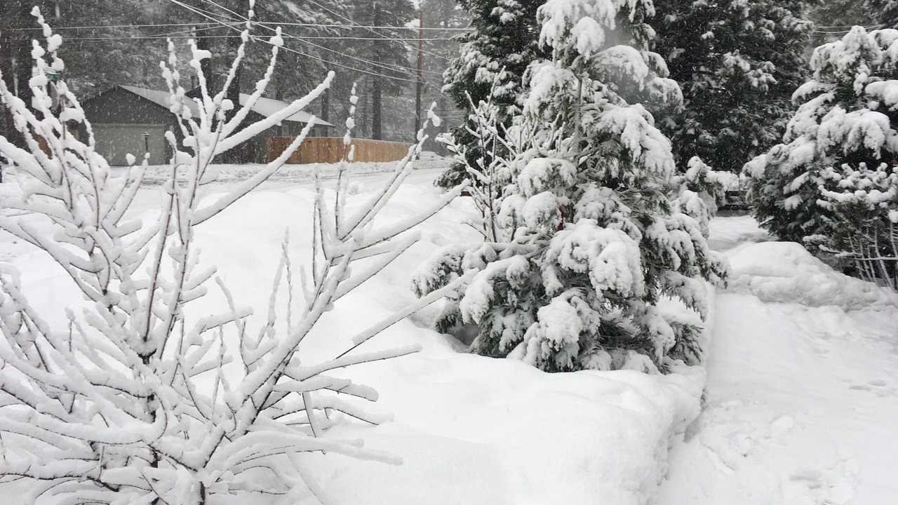 Photo of Outdoor in Al Tahoe