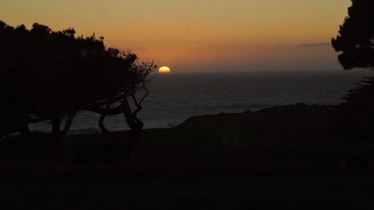 Photo of Others in Sea Ranch
