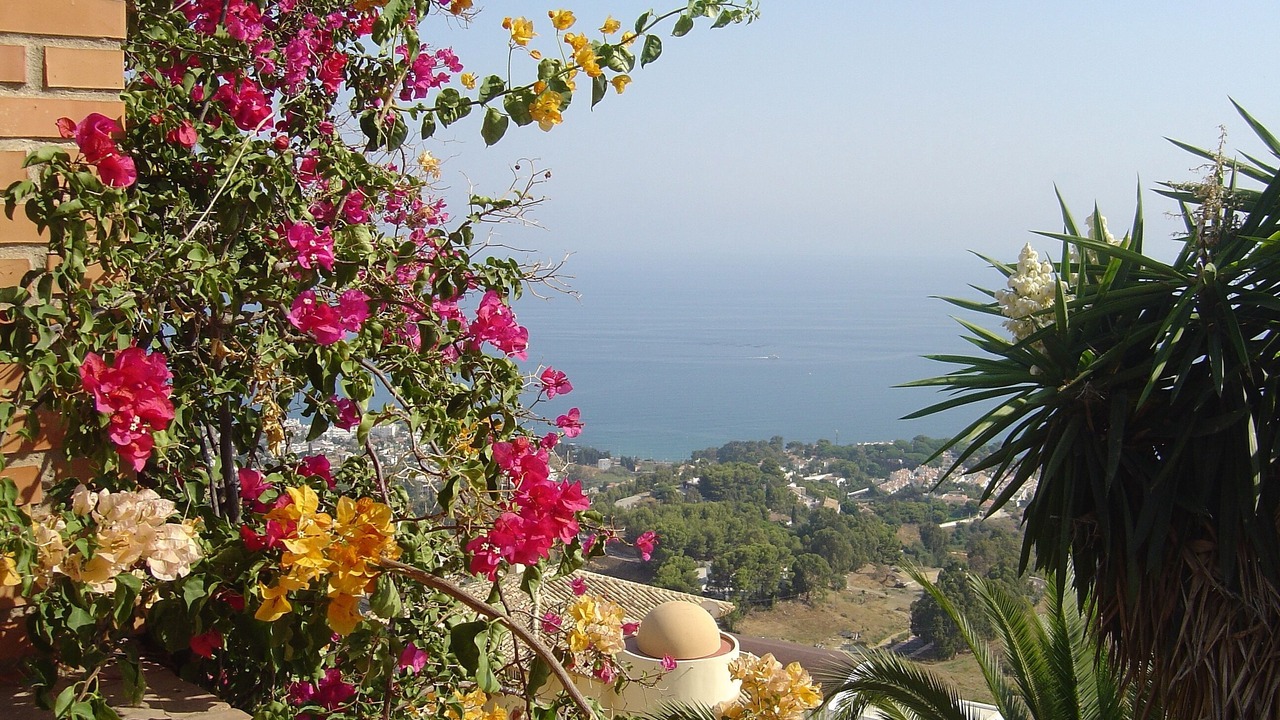 Photo of Others in Benalmadena Costa