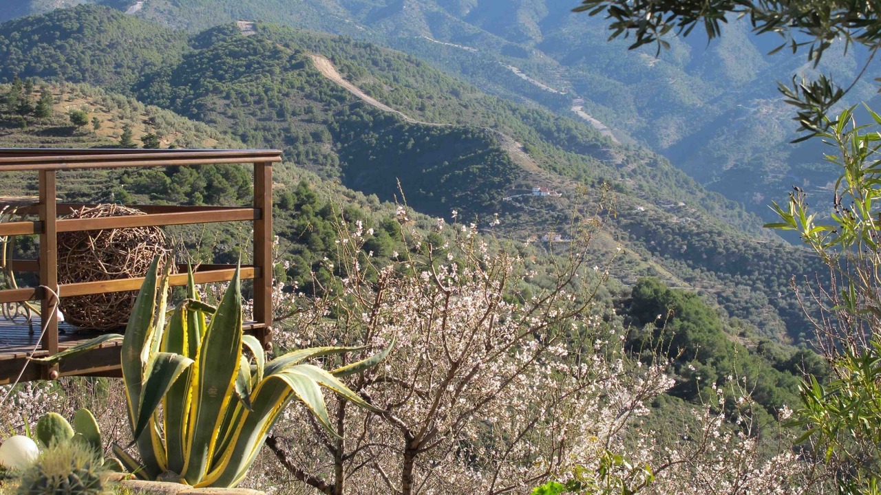 Photo of Outdoor in Canillas de Albaida