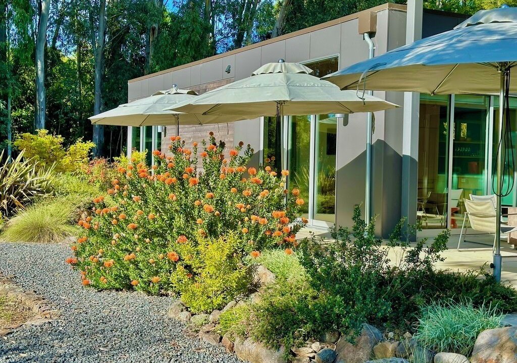 Photo of Outdoor in Santa Rosa
