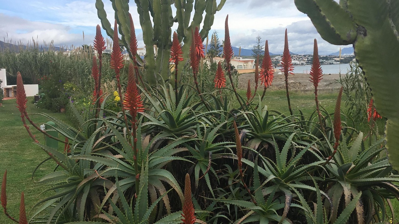Photo of Outdoor in Bahia Dorada