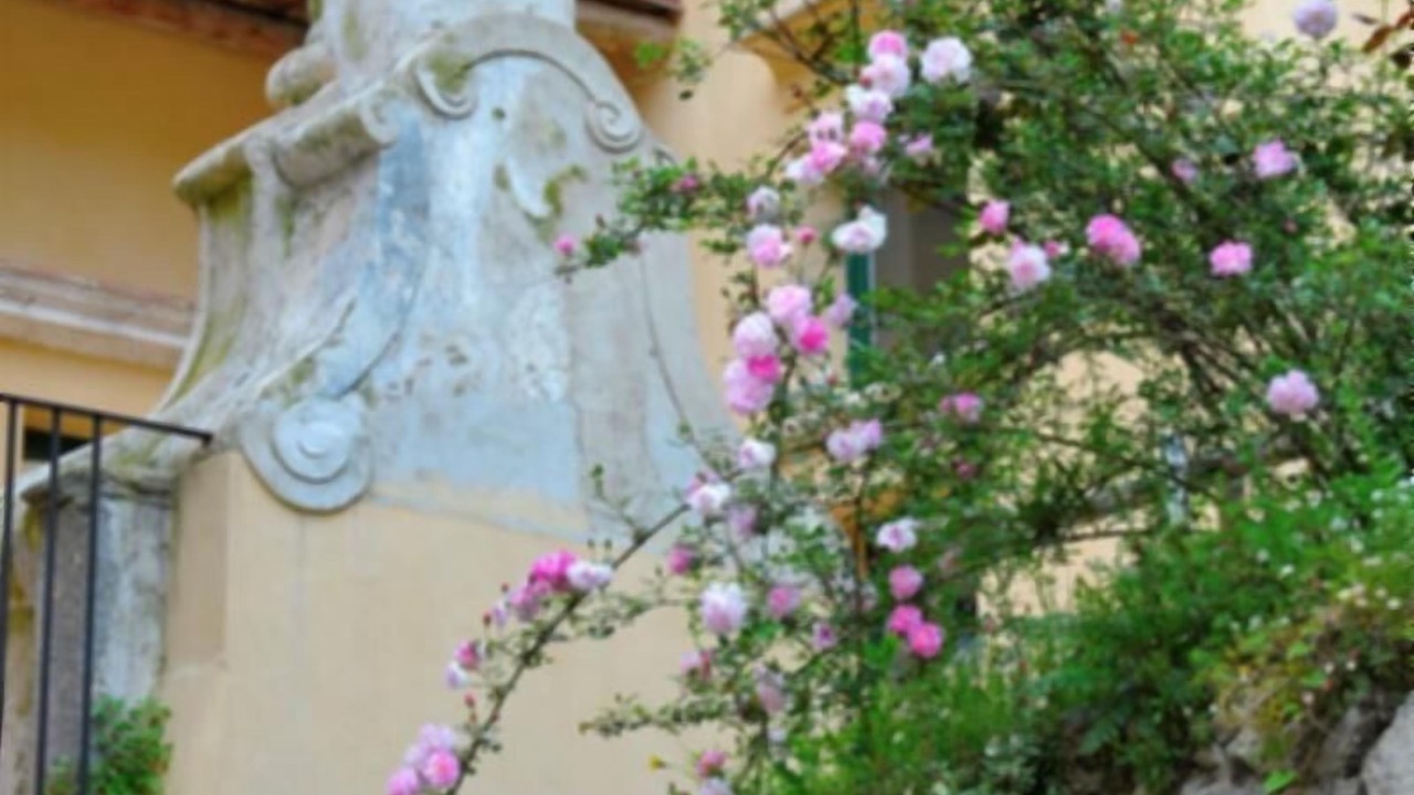 Photo of Outdoor in Amalfi