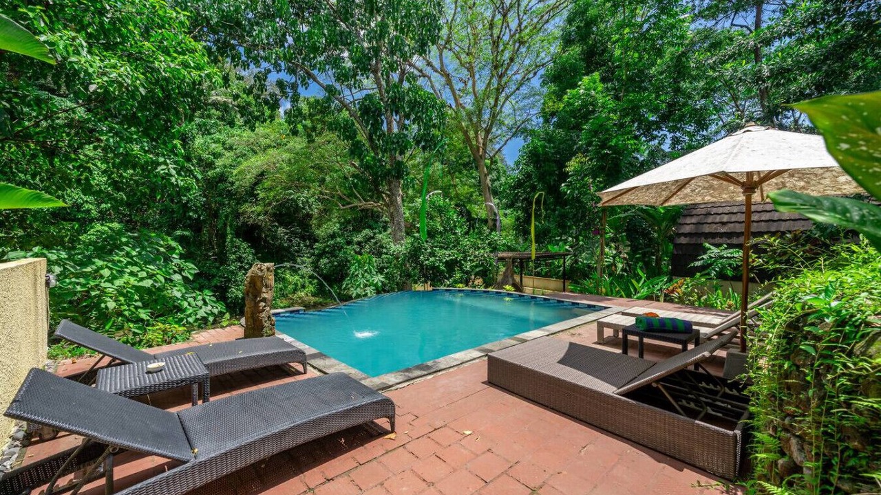 Photo of Outdoor in Singapadu Tengah
