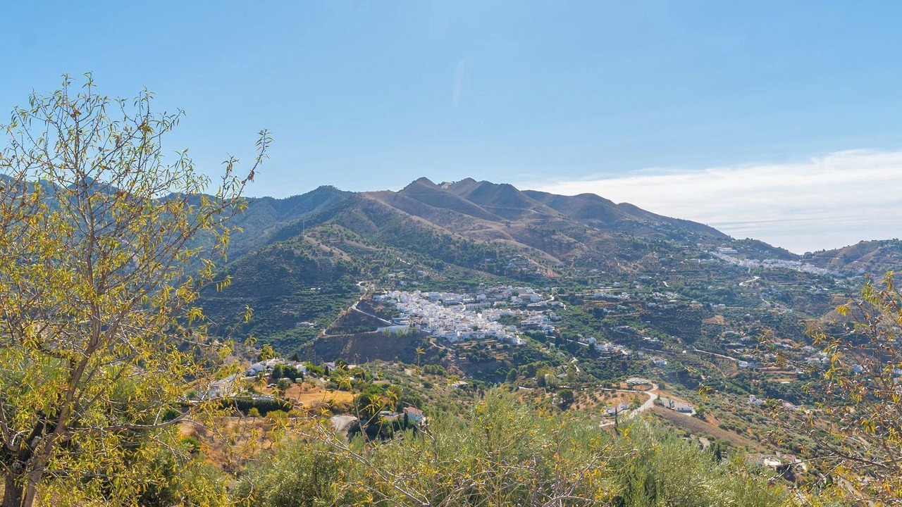 Photo of Others in Canillas de Albaida