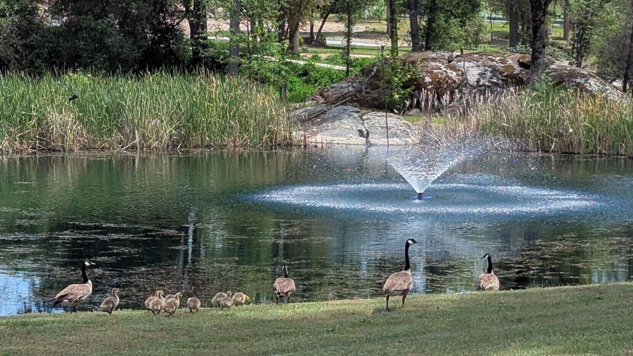Photo of Others in Oakhurst