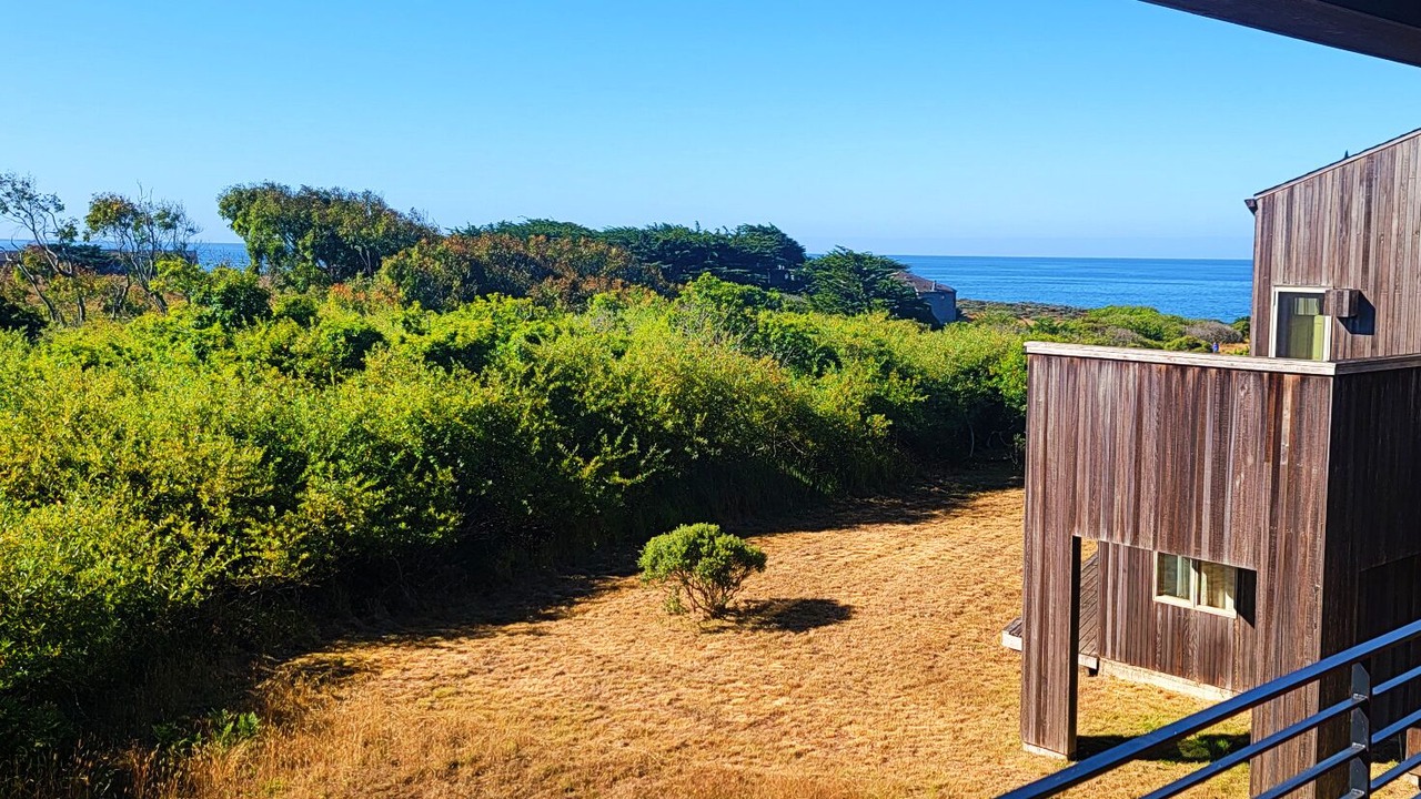 Photo of Outdoor in Sea Ranch