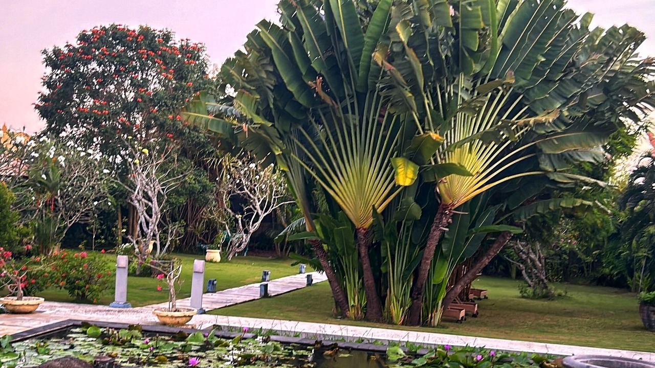 Photo of Outdoor in Pererenan