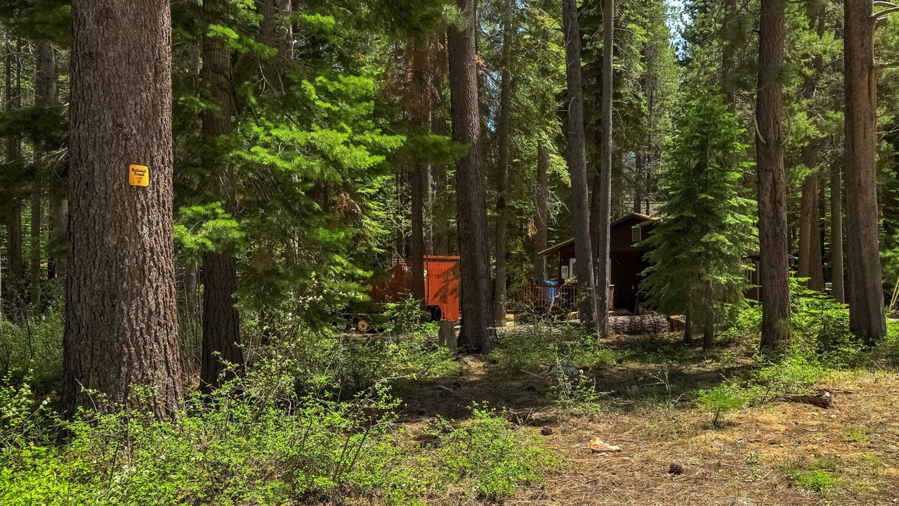 Photo of Others in North Upper Truckee