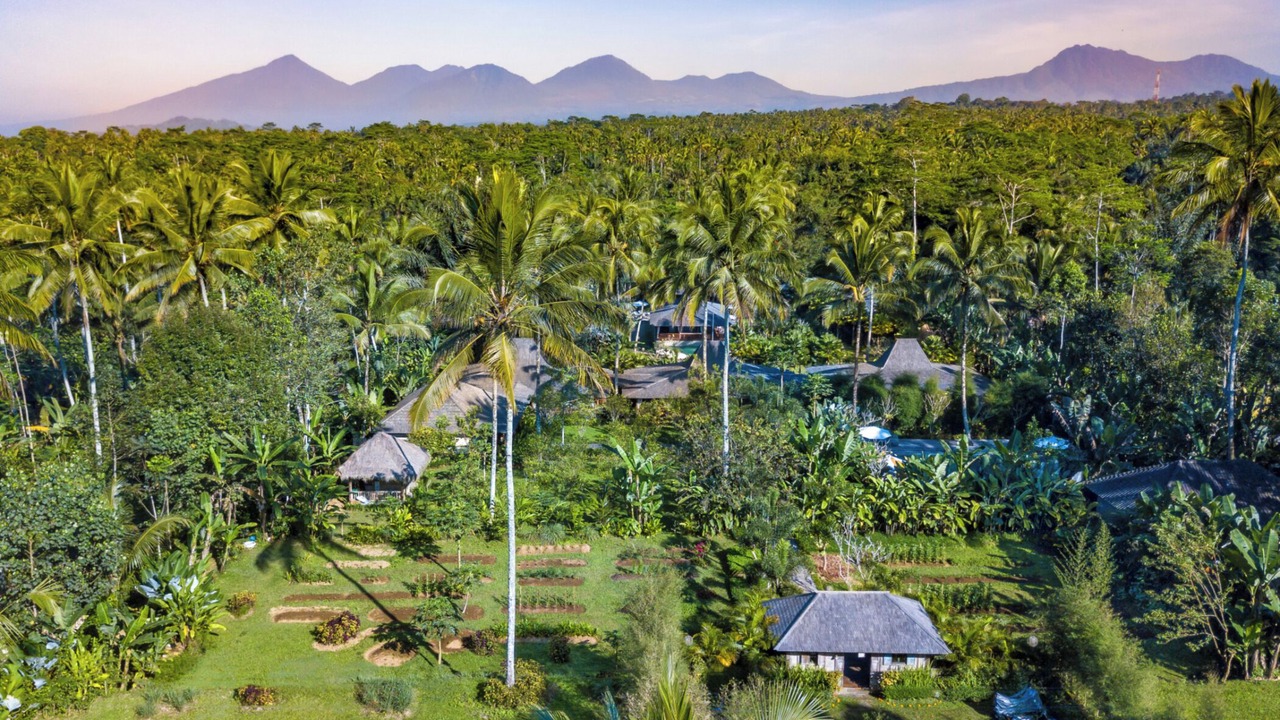 Photo of Outdoor in Taro