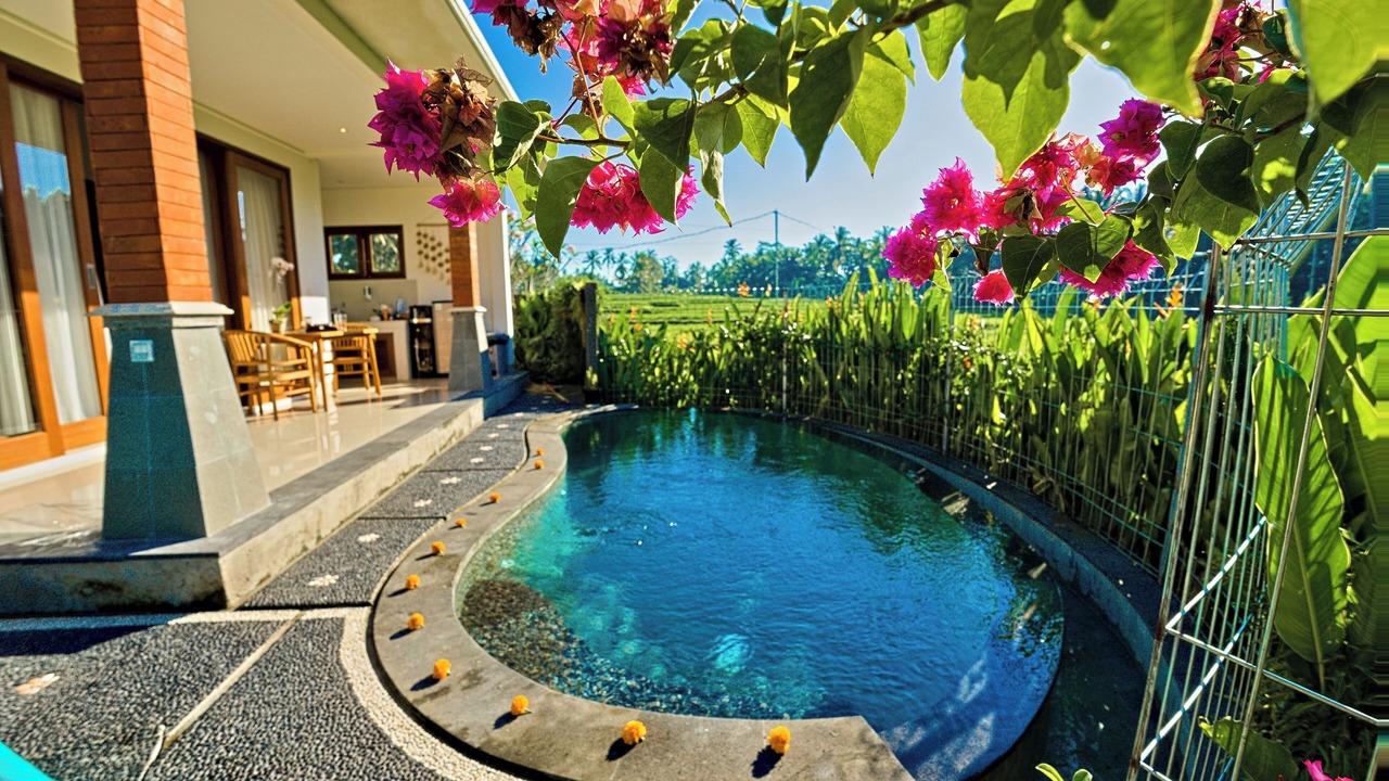 Photo of Outdoor in Ubud