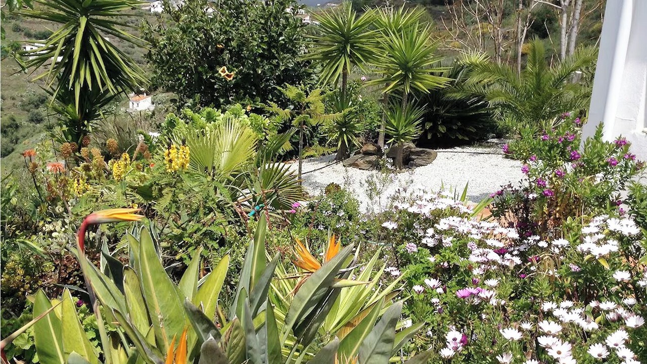 Photo of Others in Torrox