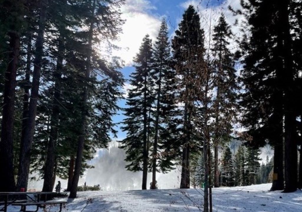 Photo of Others in Truckee