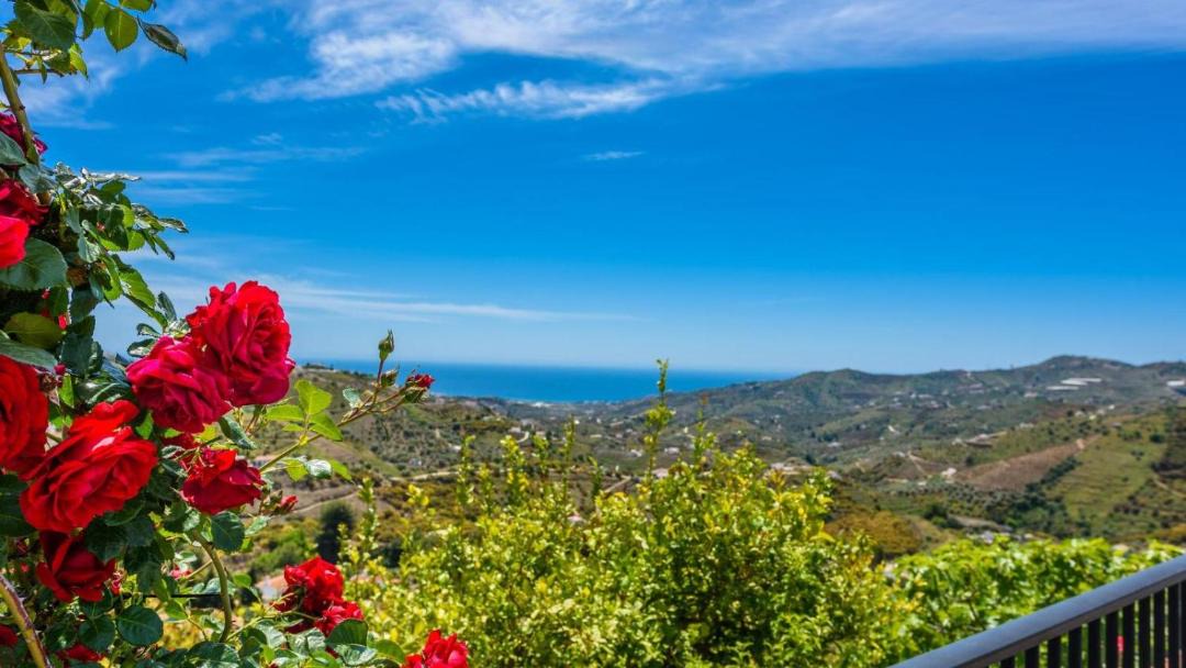 Photo of Others in Frigiliana