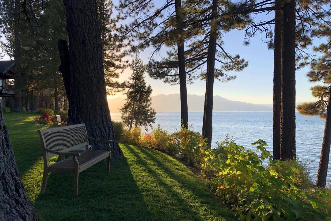 Photo of Others in Sierra Shores