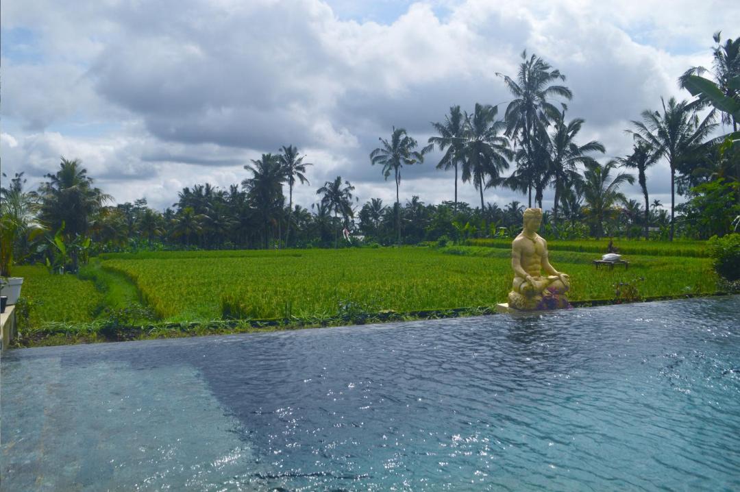 Photo of Others in Payangan