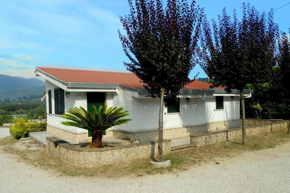 Photo of Others in Montecorvino Rovella