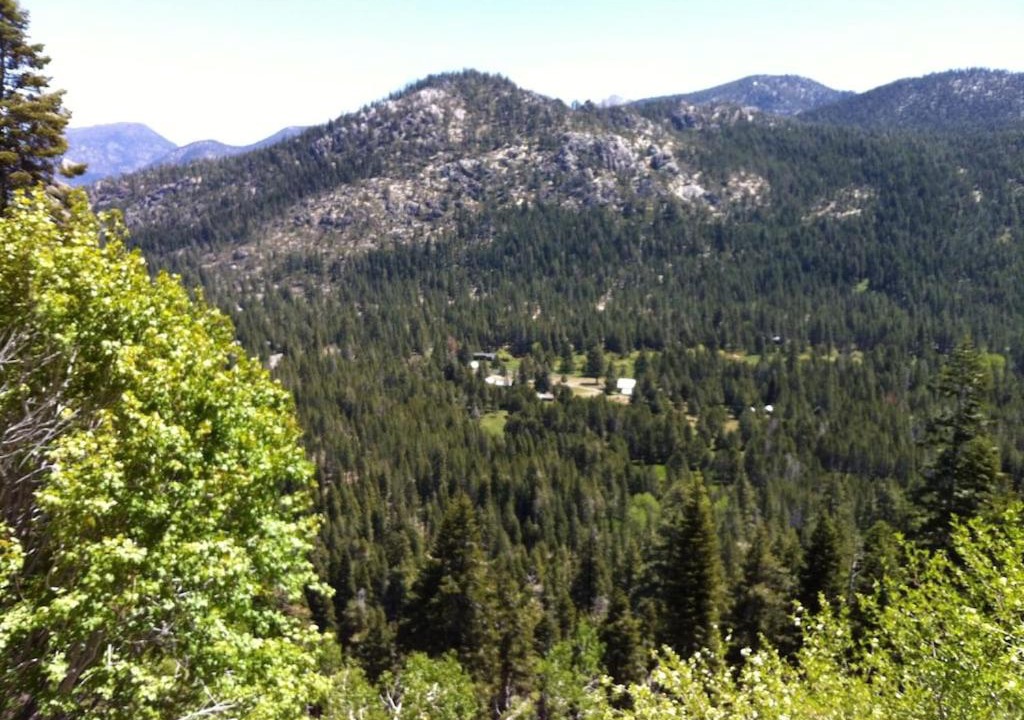 Photo of Others in Christmas Valley