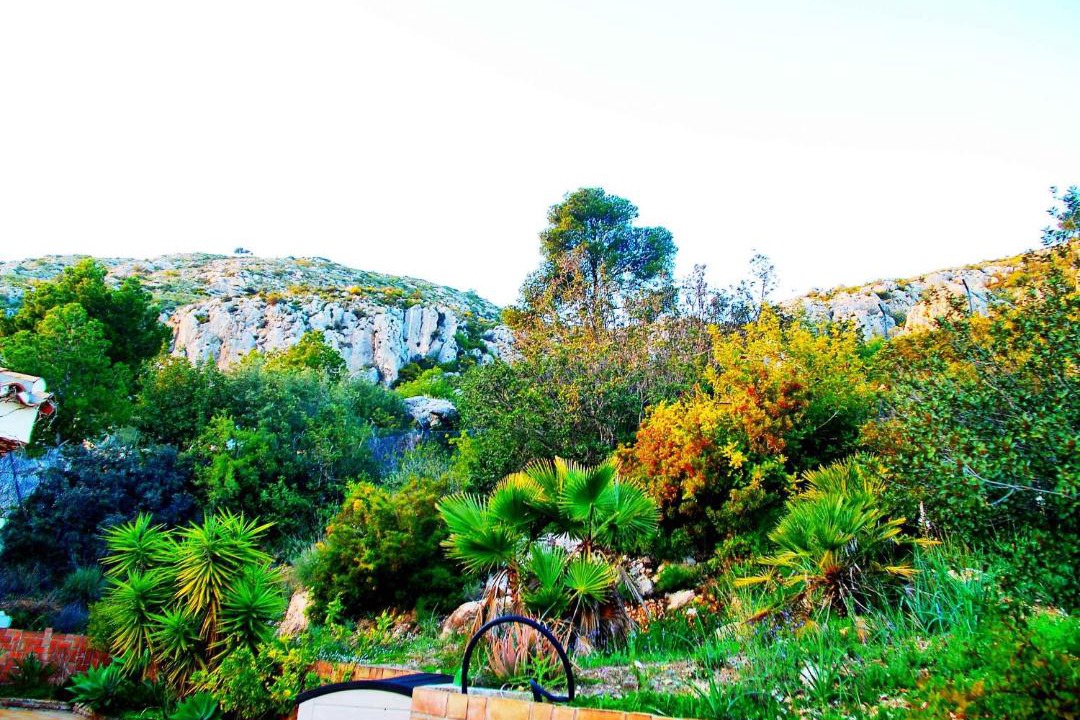 Photo of Others in Malaga-Este