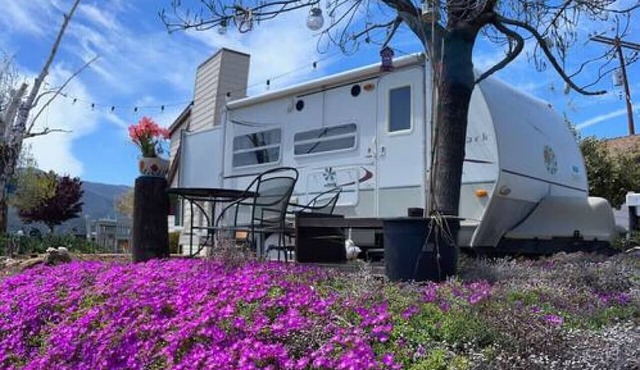 Hiker's Hideaway w Amazing Views and 2 Steaks!